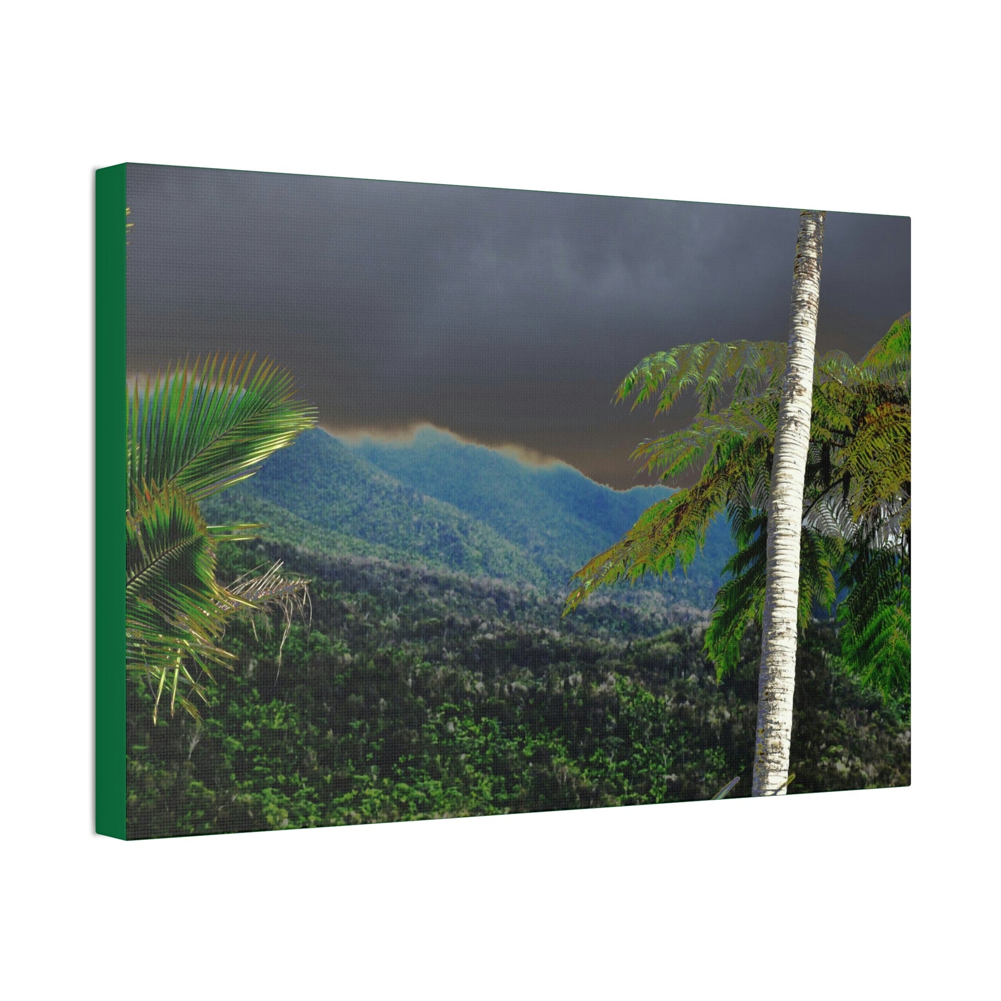Canvas Stretched - Forest@Home - El Yunque - Recovering from Hurricane Maria - Broad view of the East peak from closed PR 191 - Green Forest Home