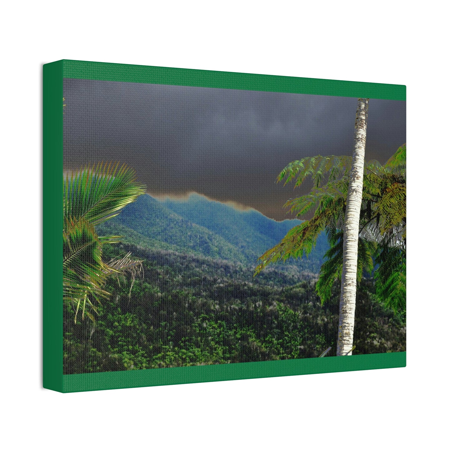 Canvas Stretched - Forest@Home - El Yunque - Recovering from Hurricane Maria - Broad view of the East peak from closed PR 191 - Green Forest Home