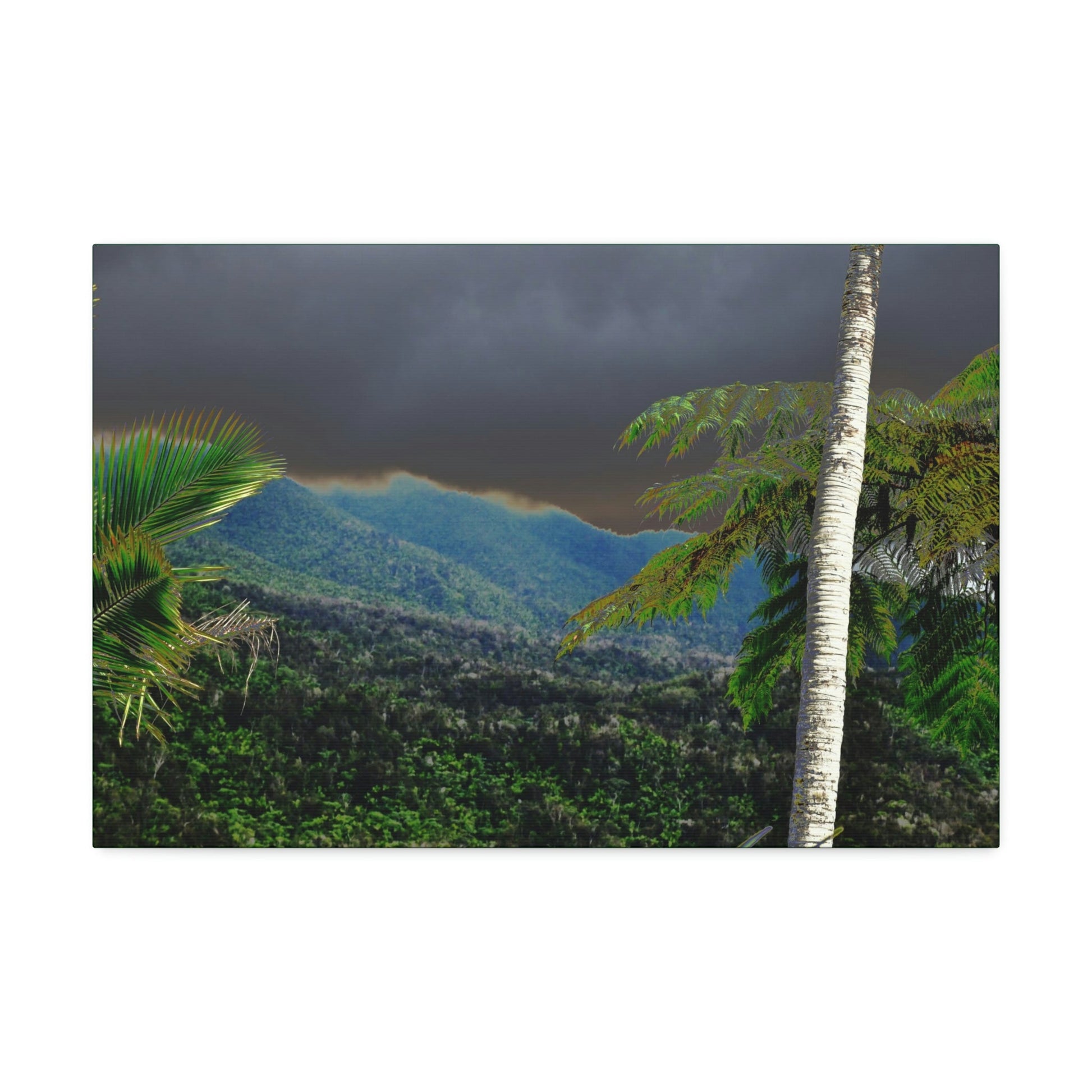 Canvas Stretched - Forest@Home - El Yunque - Recovering from Hurricane Maria - Broad view of the East peak from closed PR 191 - Green Forest Home