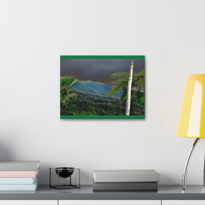 Canvas Stretched - Forest@Home - El Yunque - Recovering from Hurricane Maria - Broad view of the East peak from closed PR 191 - Green Forest Home