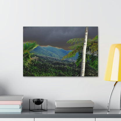 Canvas Stretched - Forest@Home - El Yunque - Recovering from Hurricane Maria - Broad view of the East peak from closed PR 191 - Green Forest Home