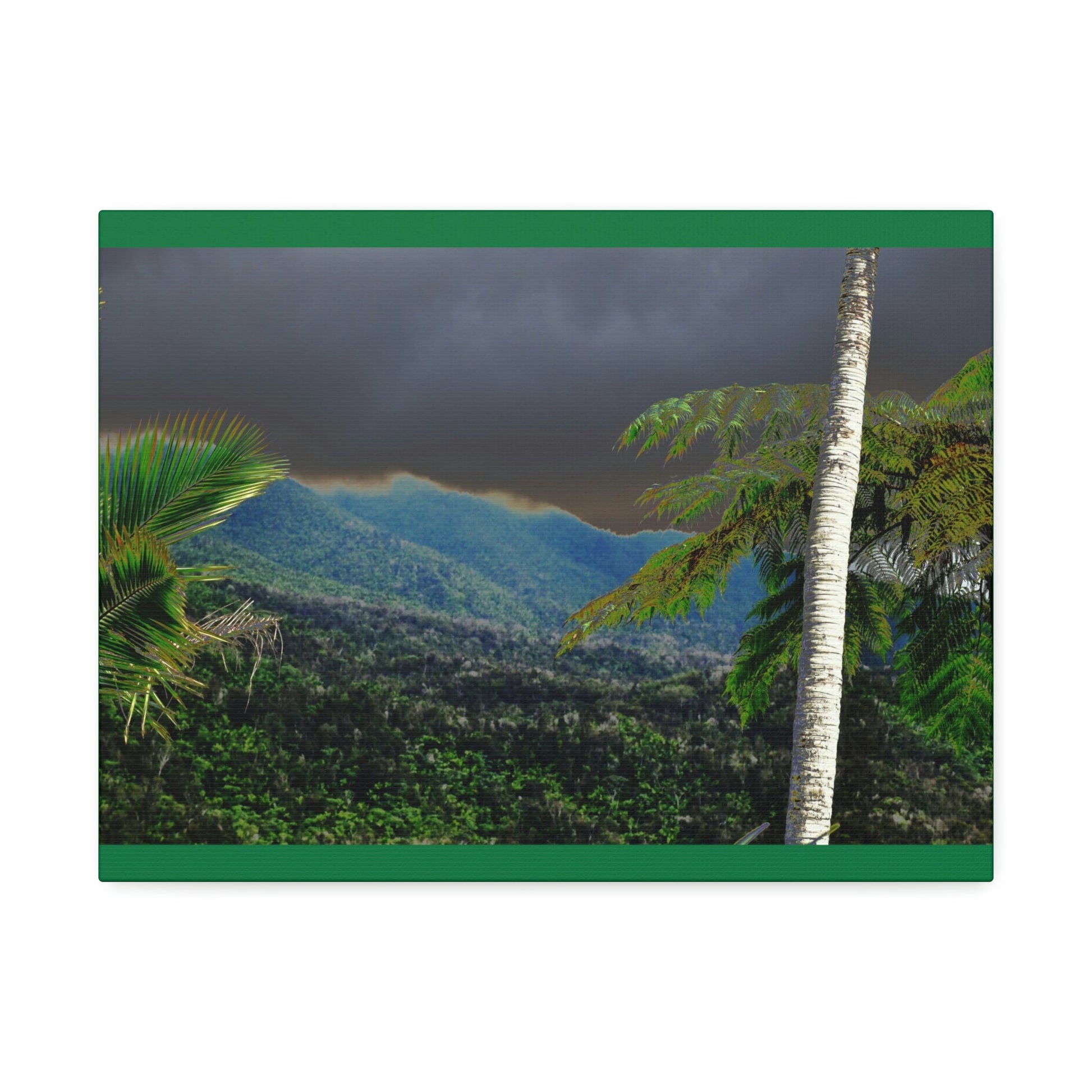 Canvas Stretched - Forest@Home - El Yunque - Recovering from Hurricane Maria - Broad view of the East peak from closed PR 191 - Green Forest Home