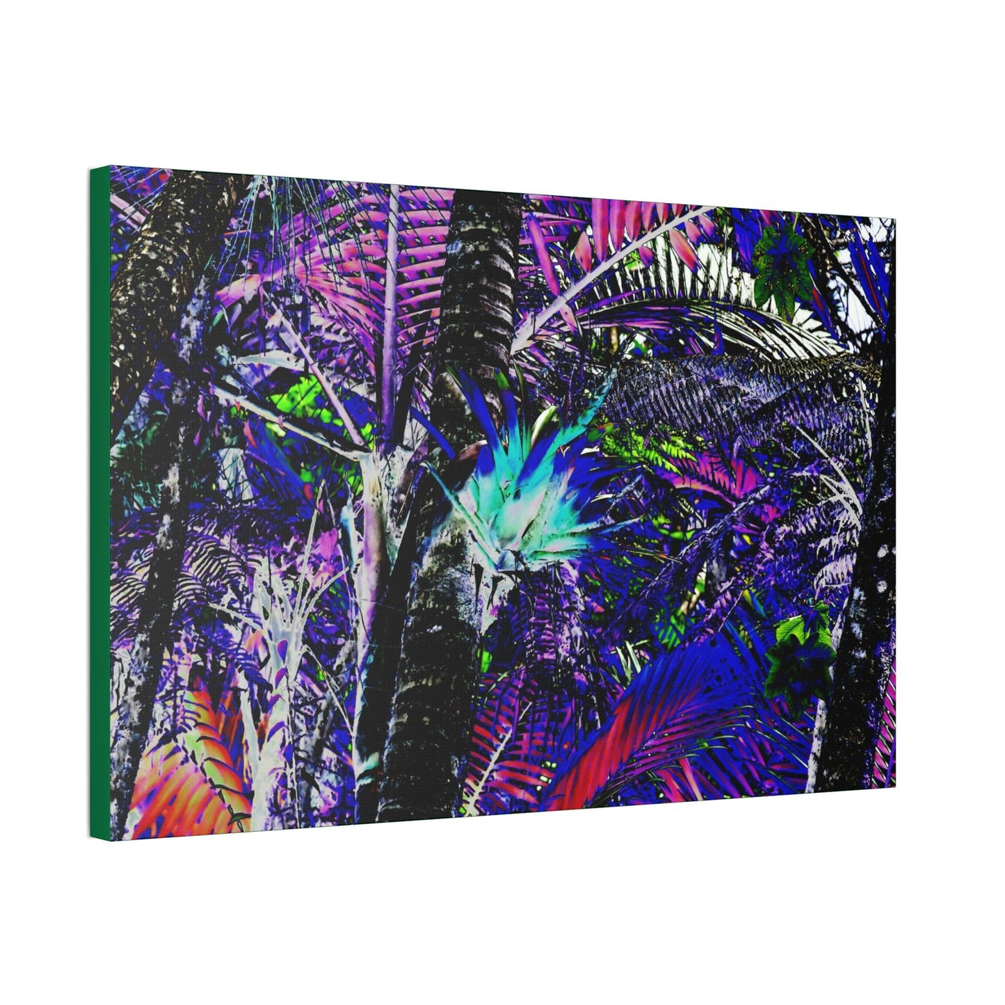Canvas Stretched - Forest@Home - El Yunque - Recovering from Hurricane Maria - Bromeliad turns blue in sierra palm forest - color modified - Green Forest Home
