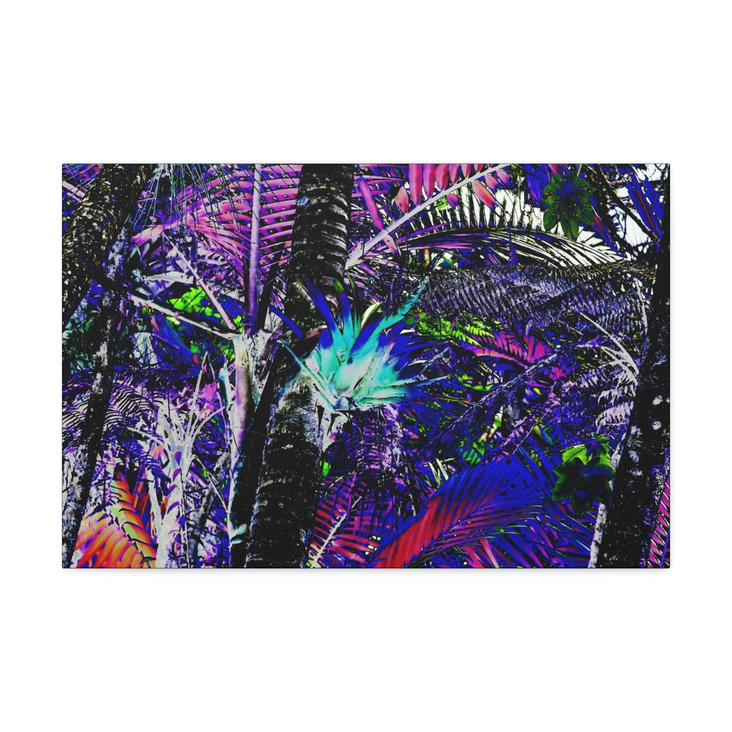 Canvas Stretched - Forest@Home - El Yunque - Recovering from Hurricane Maria - Bromeliad turns blue in sierra palm forest - color modified - Green Forest Home