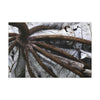 Canvas Stretched - Forest@Home - El Yunque - Recovering from Hurricane Maria - Closeup of center of fallen Yagrumo leaf - Tradewinds - Green Forest Home