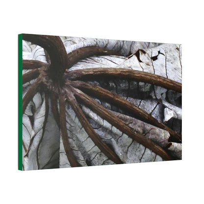 Canvas Stretched - Forest@Home - El Yunque - Recovering from Hurricane Maria - Closeup of center of fallen Yagrumo leaf - Tradewinds - Green Forest Home