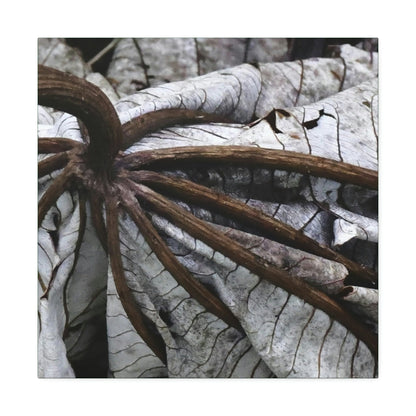 Canvas Stretched - Forest@Home - El Yunque - Recovering from Hurricane Maria - Closeup of center of fallen Yagrumo leaf - Tradewinds - Green Forest Home