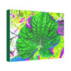 Canvas Stretched - Forest@Home - El Yunque - Recovering from Hurricane Maria - Closeup of common EYNF plants color modified - Tradewind - Green Forest Home