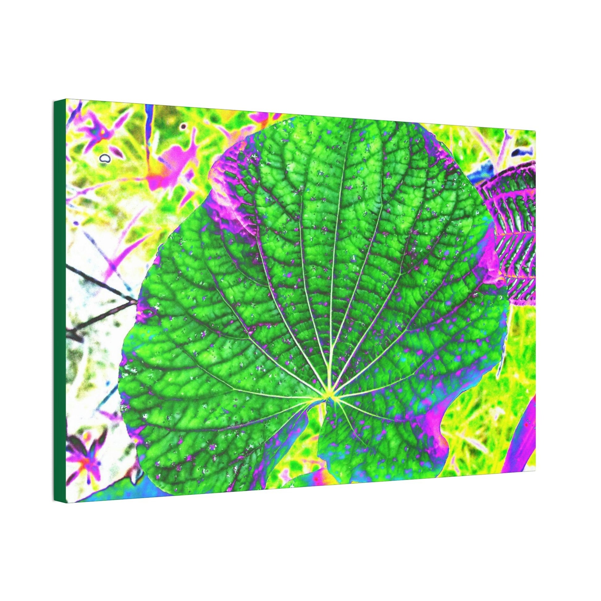 Canvas Stretched - Forest@Home - El Yunque - Recovering from Hurricane Maria - Closeup of common EYNF plants color modified - Tradewind - Green Forest Home