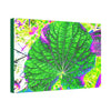 Canvas Stretched - Forest@Home - El Yunque - Recovering from Hurricane Maria - Closeup of common EYNF plants color modified - Tradewind - Green Forest Home