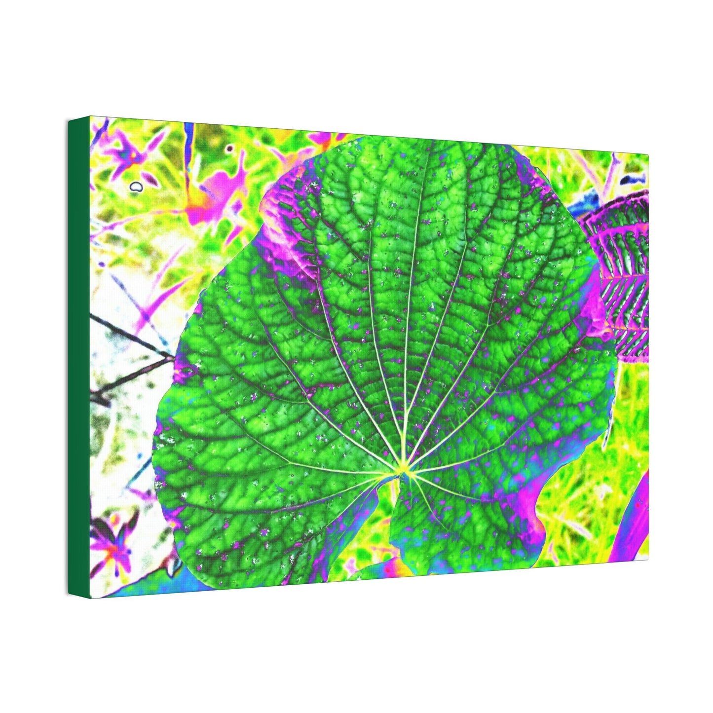 Canvas Stretched - Forest@Home - El Yunque - Recovering from Hurricane Maria - Closeup of common EYNF plants color modified - Tradewind - Green Forest Home