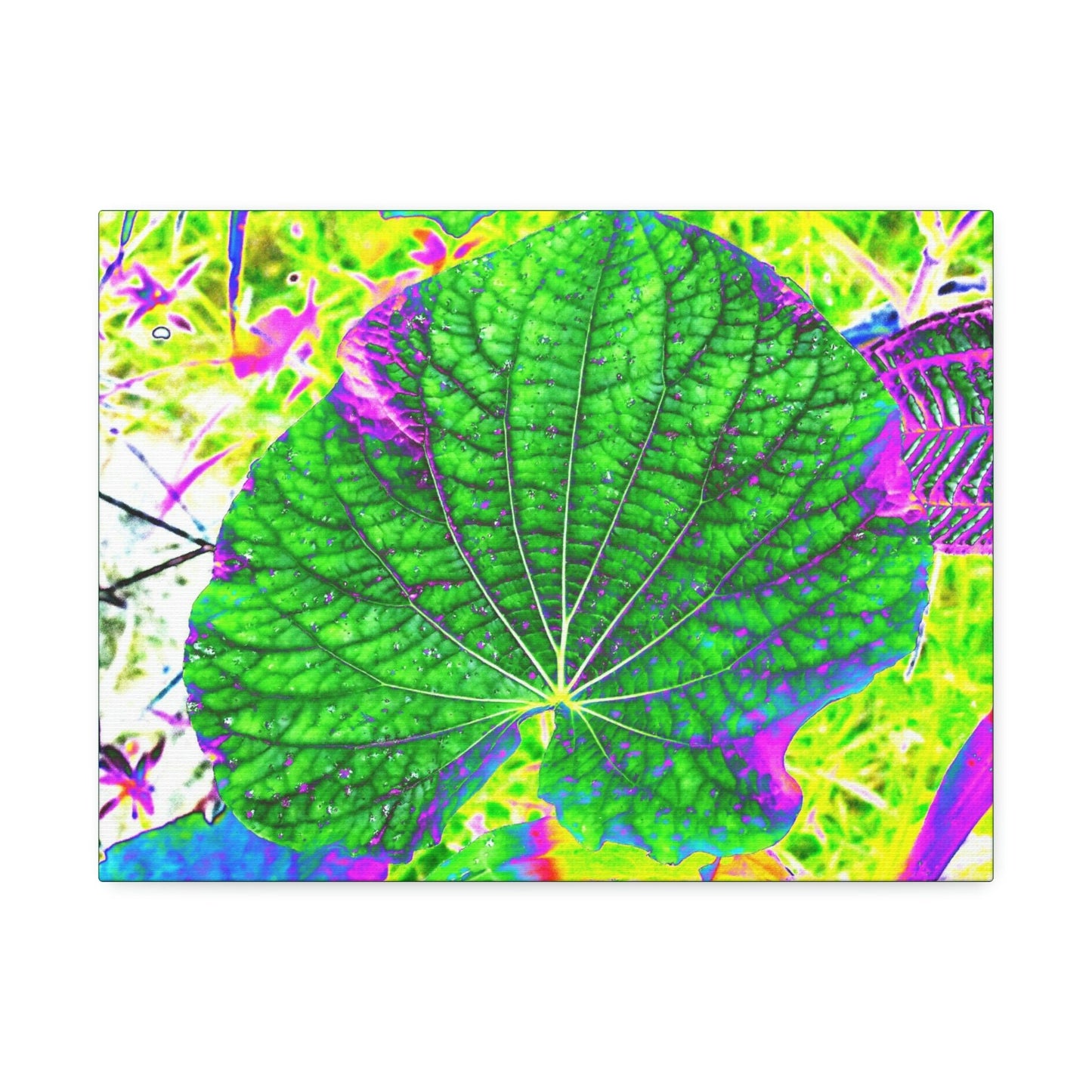 Canvas Stretched - Forest@Home - El Yunque - Recovering from Hurricane Maria - Closeup of common EYNF plants color modified - Tradewind - Green Forest Home