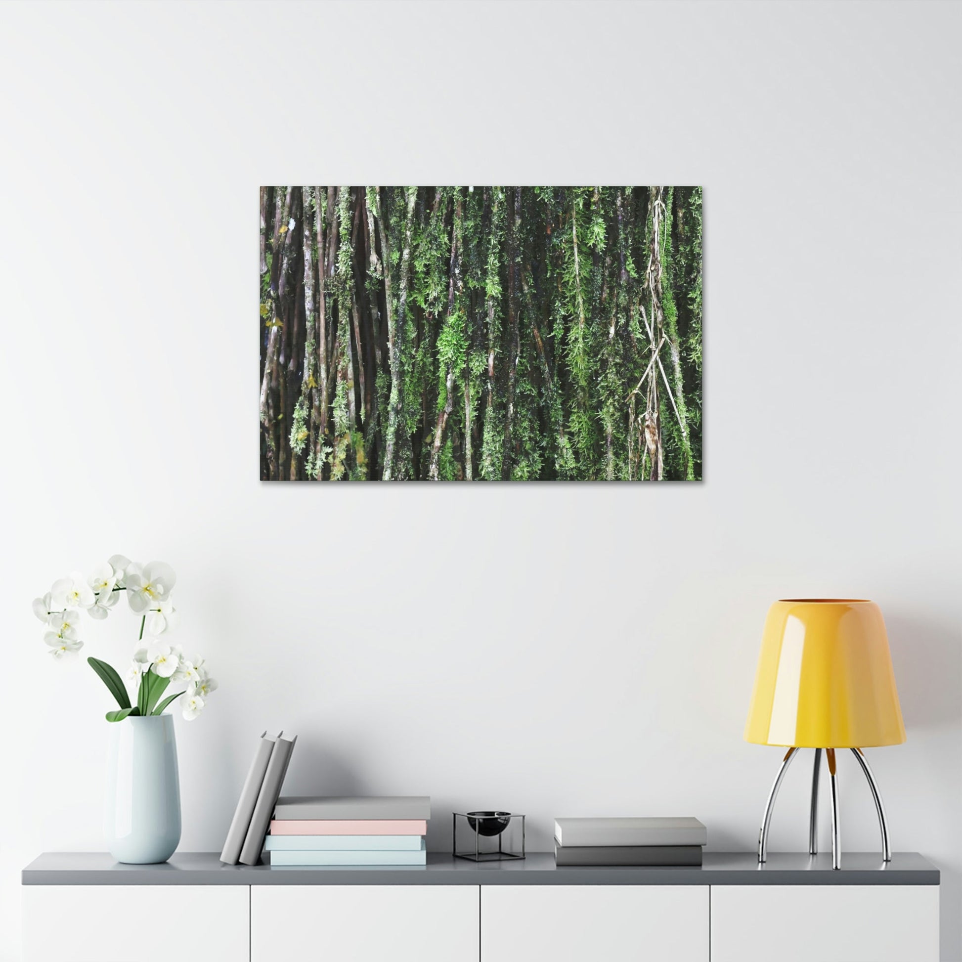 Canvas Stretched - Forest@Home - El Yunque - Recovering from Hurricane Maria - Closeup of Sierra Palm roots from boulder - Tradewinds - Green Forest Home