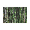 Canvas Stretched - Forest@Home - El Yunque - Recovering from Hurricane Maria - Closeup of Sierra Palm roots from boulder - Tradewinds - Green Forest Home