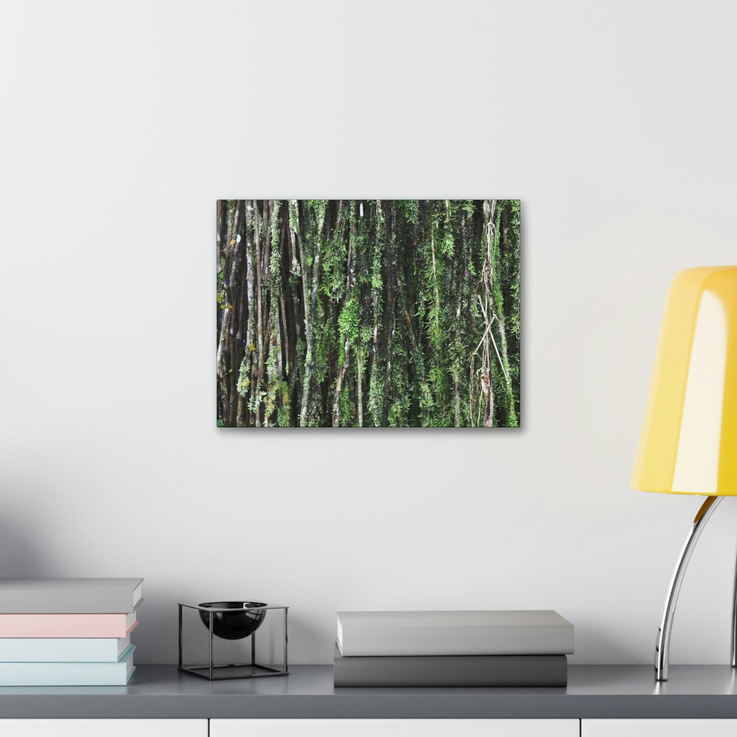 Canvas Stretched - Forest@Home - El Yunque - Recovering from Hurricane Maria - Closeup of Sierra Palm roots from boulder - Tradewinds - Green Forest Home