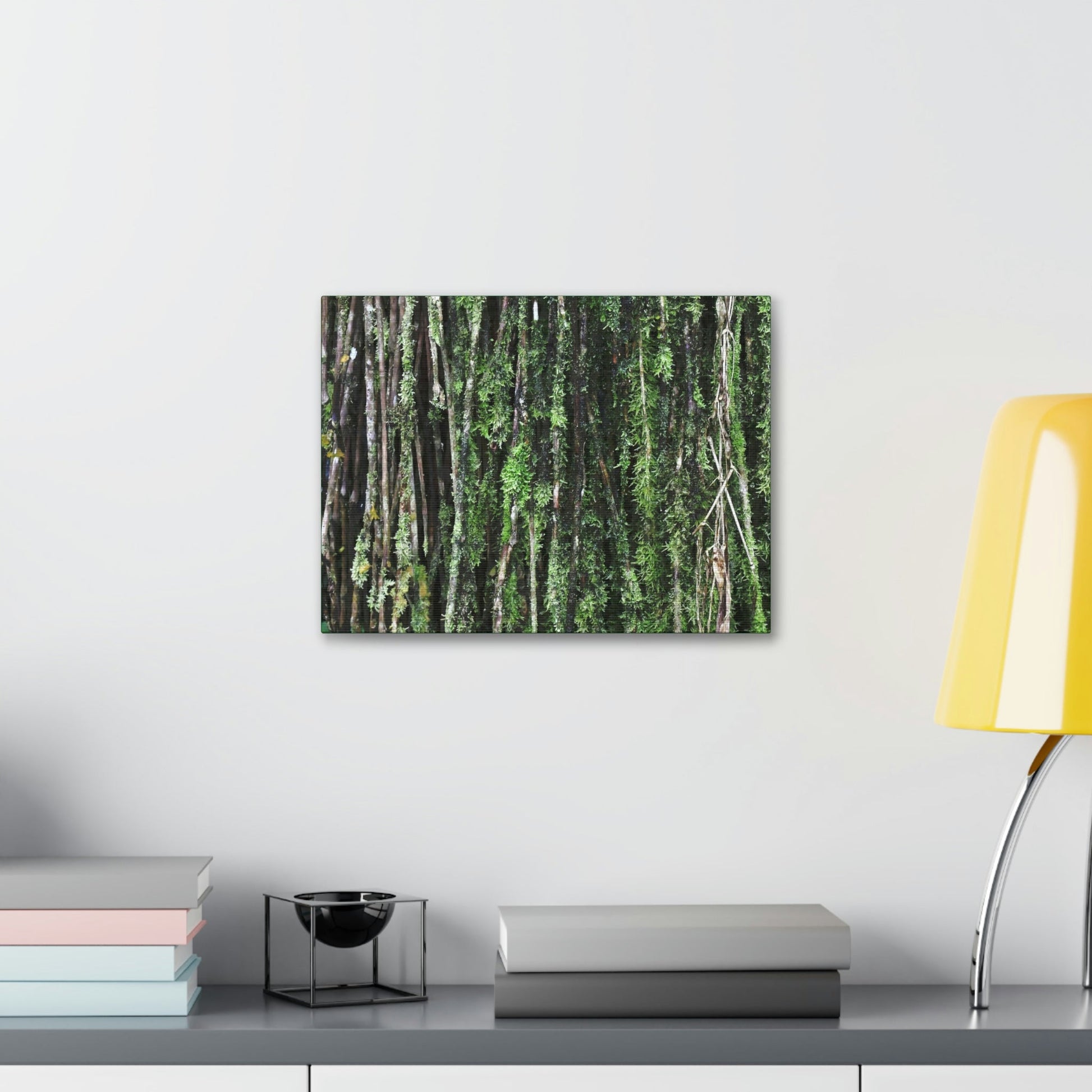 Canvas Stretched - Forest@Home - El Yunque - Recovering from Hurricane Maria - Closeup of Sierra Palm roots from boulder - Tradewinds - Green Forest Home