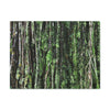 Canvas Stretched - Forest@Home - El Yunque - Recovering from Hurricane Maria - Closeup of Sierra Palm roots from boulder - Tradewinds - Green Forest Home
