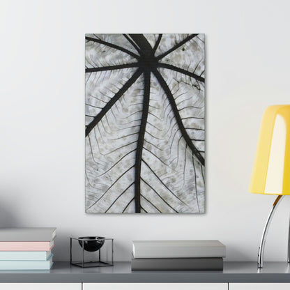 Canvas Stretched - Forest@Home - El Yunque - Recovering from Hurricane Maria - Closeup of white side of the Yagrumo leaf - Green Forest Home