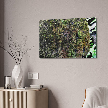 Canvas Stretched - Forest@Home - El Yunque - Recovering from Hurricane Maria - Color enhanced boulder covered with moss - Tradewinds - Green Forest Home