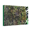 Canvas Stretched - Forest@Home - El Yunque - Recovering from Hurricane Maria - Color enhanced boulder covered with moss - Tradewinds - Green Forest Home
