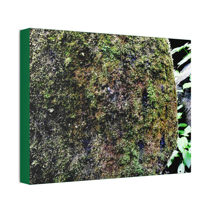 Canvas Stretched - Forest@Home - El Yunque - Recovering from Hurricane Maria - Color enhanced boulder covered with moss - Tradewinds - Green Forest Home