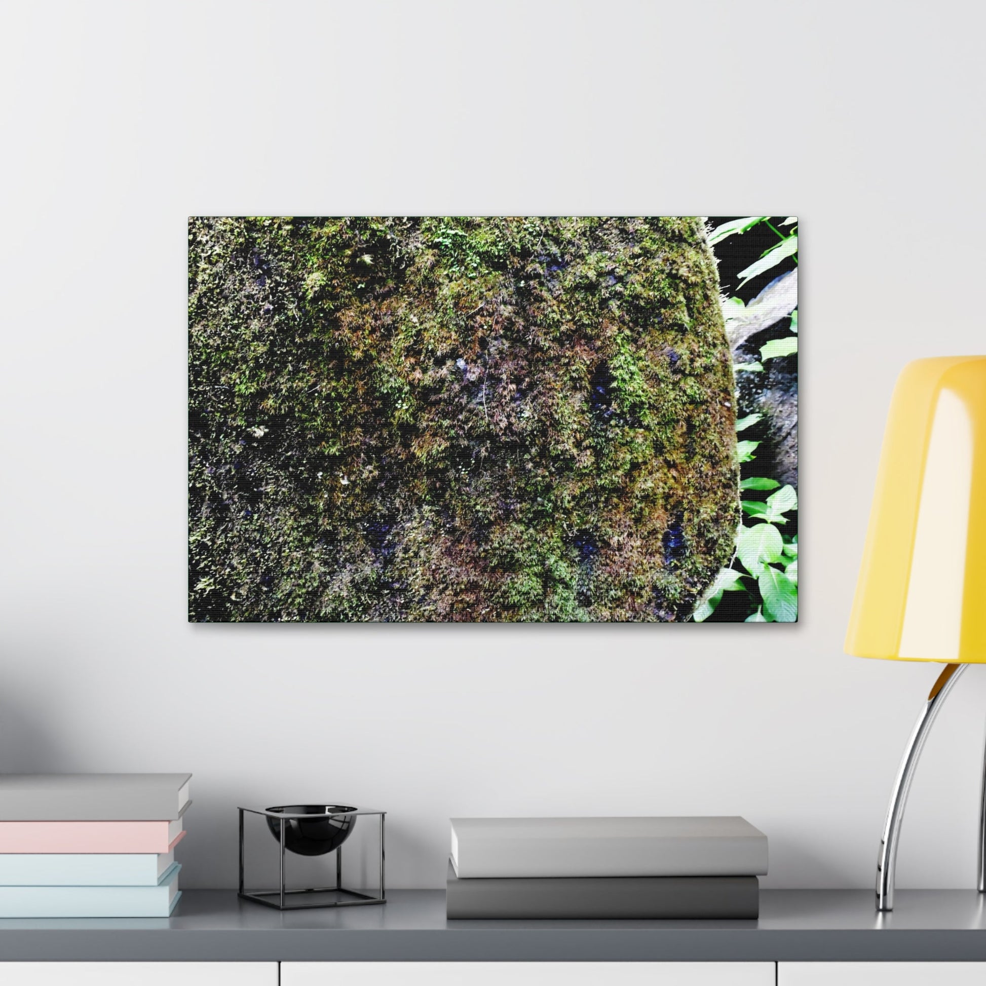 Canvas Stretched - Forest@Home - El Yunque - Recovering from Hurricane Maria - Color enhanced boulder covered with moss - Tradewinds - Green Forest Home