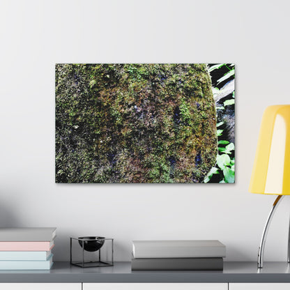 Canvas Stretched - Forest@Home - El Yunque - Recovering from Hurricane Maria - Color enhanced boulder covered with moss - Tradewinds - Green Forest Home