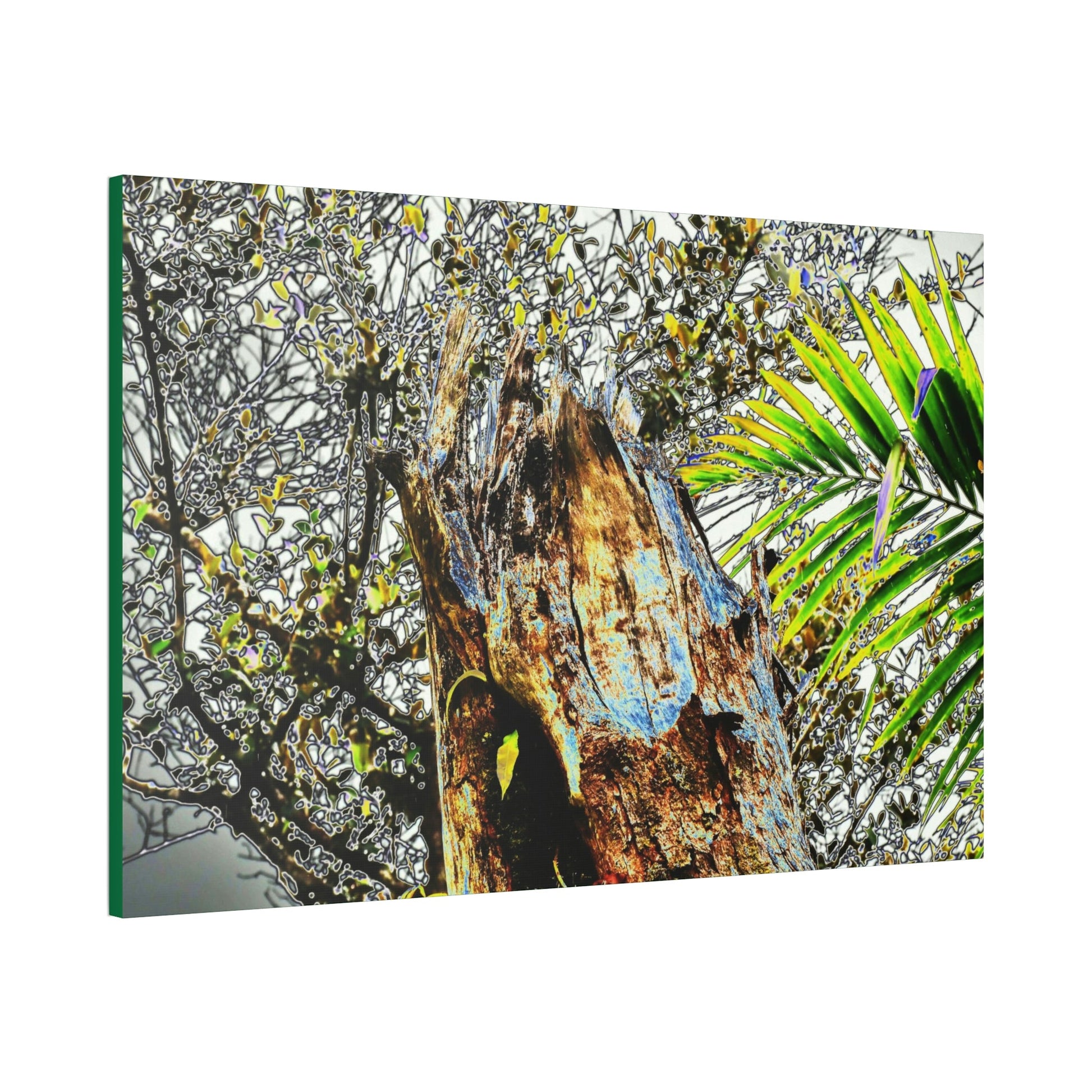 Canvas Stretched - Forest@Home - El Yunque - Recovering from Hurricane Maria - Color mod enhances Tree broken by Maria - Tradewinds trail - Green Forest Home