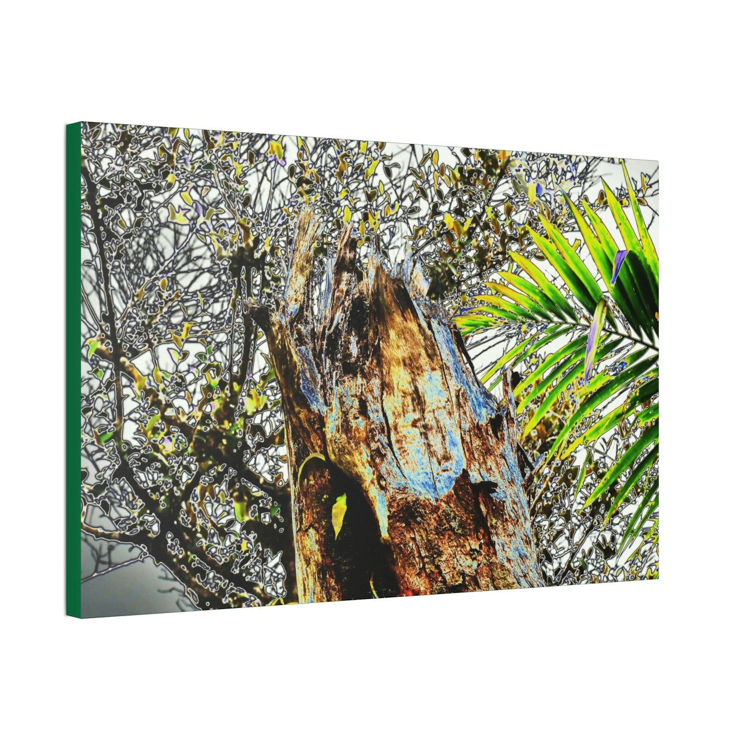 Canvas Stretched - Forest@Home - El Yunque - Recovering from Hurricane Maria - Color mod enhances Tree broken by Maria - Tradewinds trail - Green Forest Home
