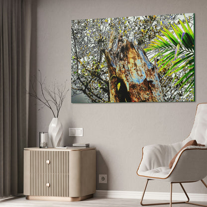 Canvas Stretched - Forest@Home - El Yunque - Recovering from Hurricane Maria - Color mod enhances Tree broken by Maria - Tradewinds trail - Green Forest Home