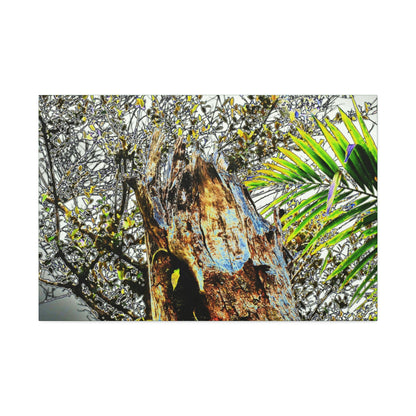 Canvas Stretched - Forest@Home - El Yunque - Recovering from Hurricane Maria - Color mod enhances Tree broken by Maria - Tradewinds trail - Green Forest Home