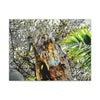 Canvas Stretched - Forest@Home - El Yunque - Recovering from Hurricane Maria - Color mod enhances Tree broken by Maria - Tradewinds trail - Green Forest Home