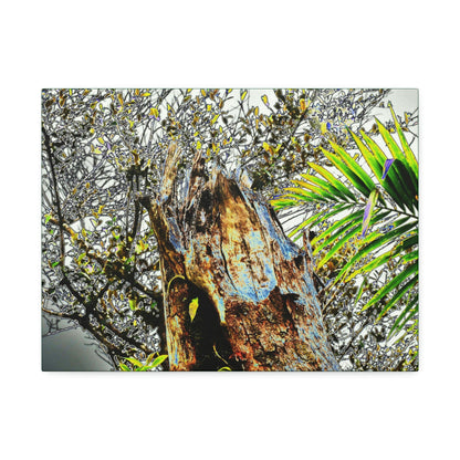 Canvas Stretched - Forest@Home - El Yunque - Recovering from Hurricane Maria - Color mod enhances Tree broken by Maria - Tradewinds trail - Green Forest Home