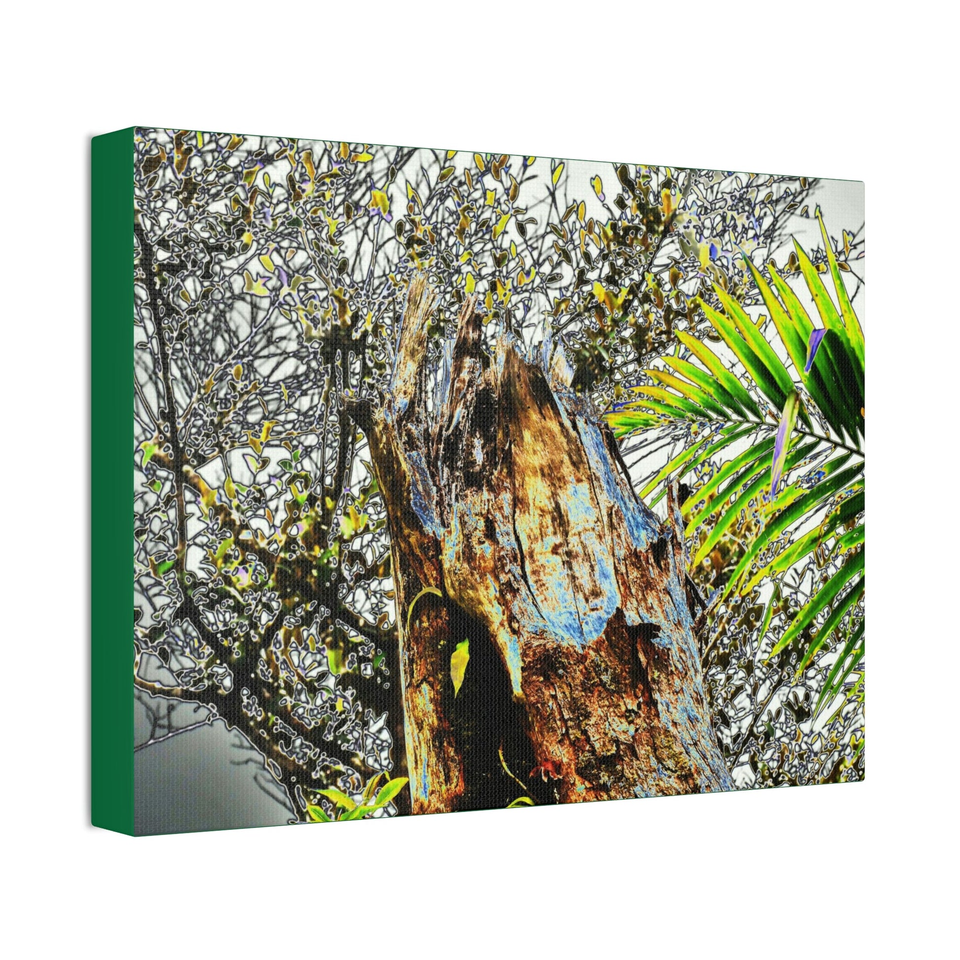 Canvas Stretched - Forest@Home - El Yunque - Recovering from Hurricane Maria - Color mod enhances Tree broken by Maria - Tradewinds trail - Green Forest Home
