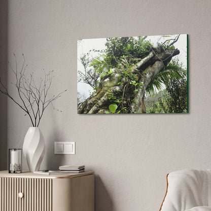 Canvas Stretched - Forest@Home - El Yunque - Recovering from Hurricane Maria - Color mod enhances Tree jumble common in EYNF - Tradewinds - Green Forest Home