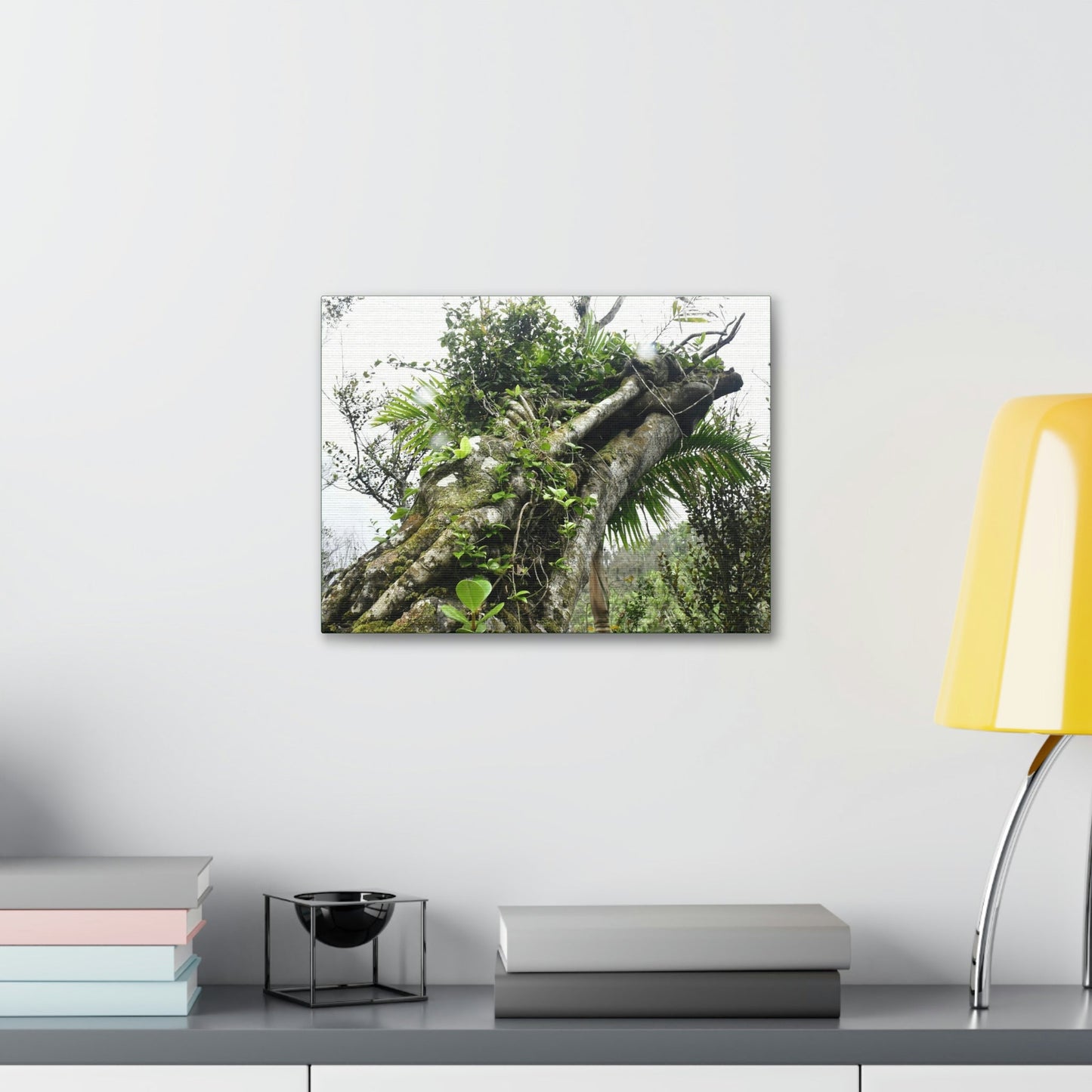 Canvas Stretched - Forest@Home - El Yunque - Recovering from Hurricane Maria - Color mod enhances Tree jumble common in EYNF - Tradewinds - Green Forest Home