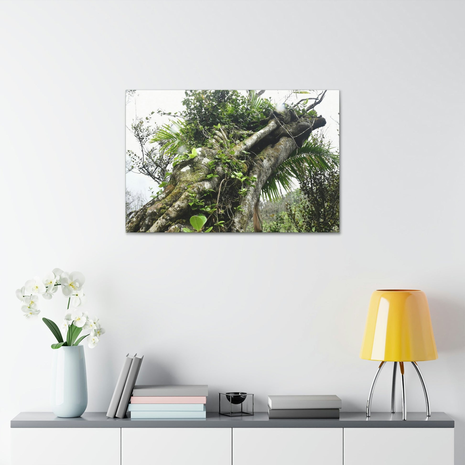 Canvas Stretched - Forest@Home - El Yunque - Recovering from Hurricane Maria - Color mod enhances Tree jumble common in EYNF - Tradewinds - Green Forest Home