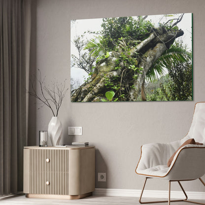 Canvas Stretched - Forest@Home - El Yunque - Recovering from Hurricane Maria - Color mod enhances Tree jumble common in EYNF - Tradewinds - Green Forest Home