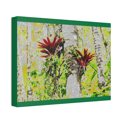 Canvas Stretched - Forest@Home - El Yunque - Recovering from Hurricane Maria - Color modified Red Bromeliads in a Sierra Palm forest - Green Forest Home
