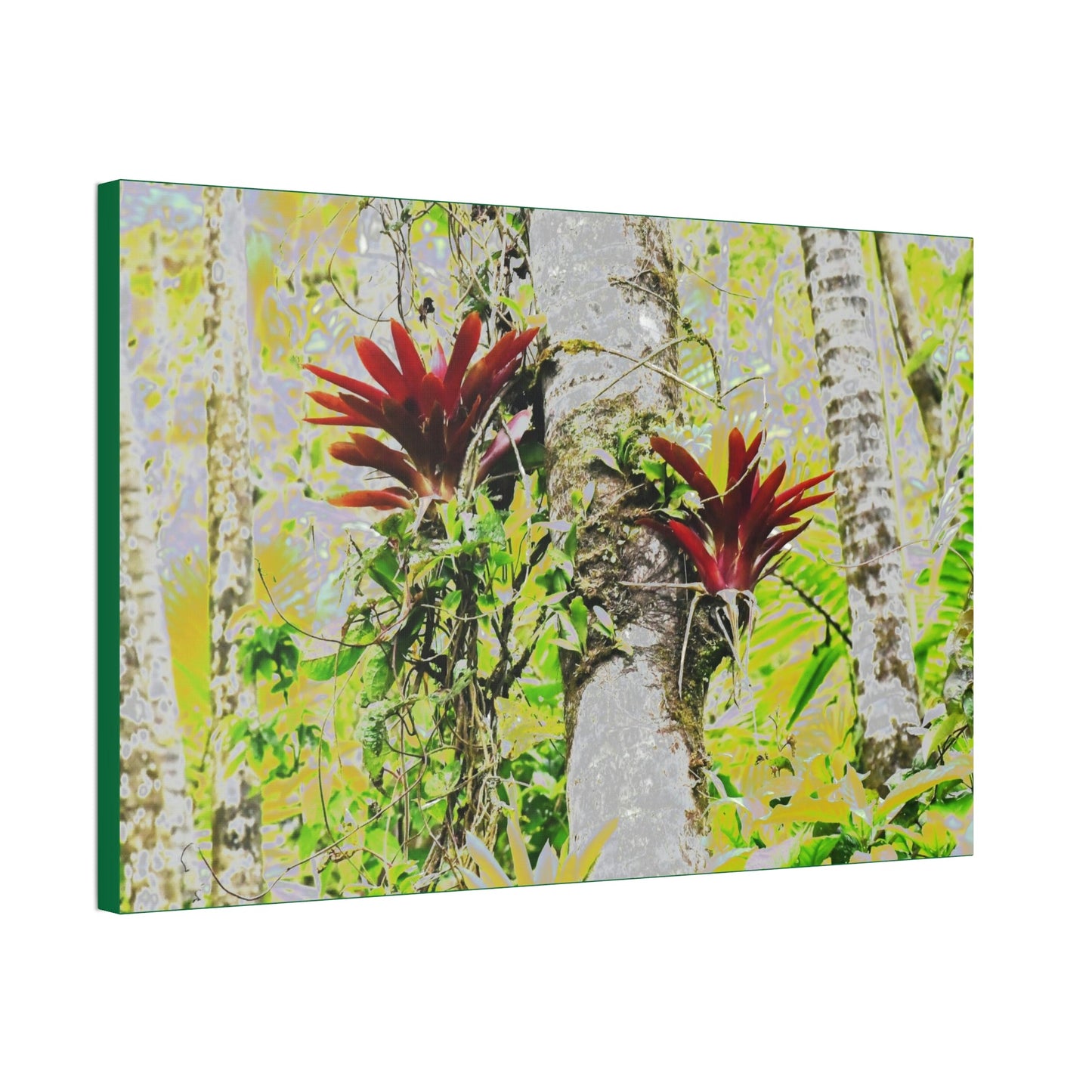 Canvas Stretched - Forest@Home - El Yunque - Recovering from Hurricane Maria - Color modified Red Bromeliads in a Sierra Palm forest - Green Forest Home