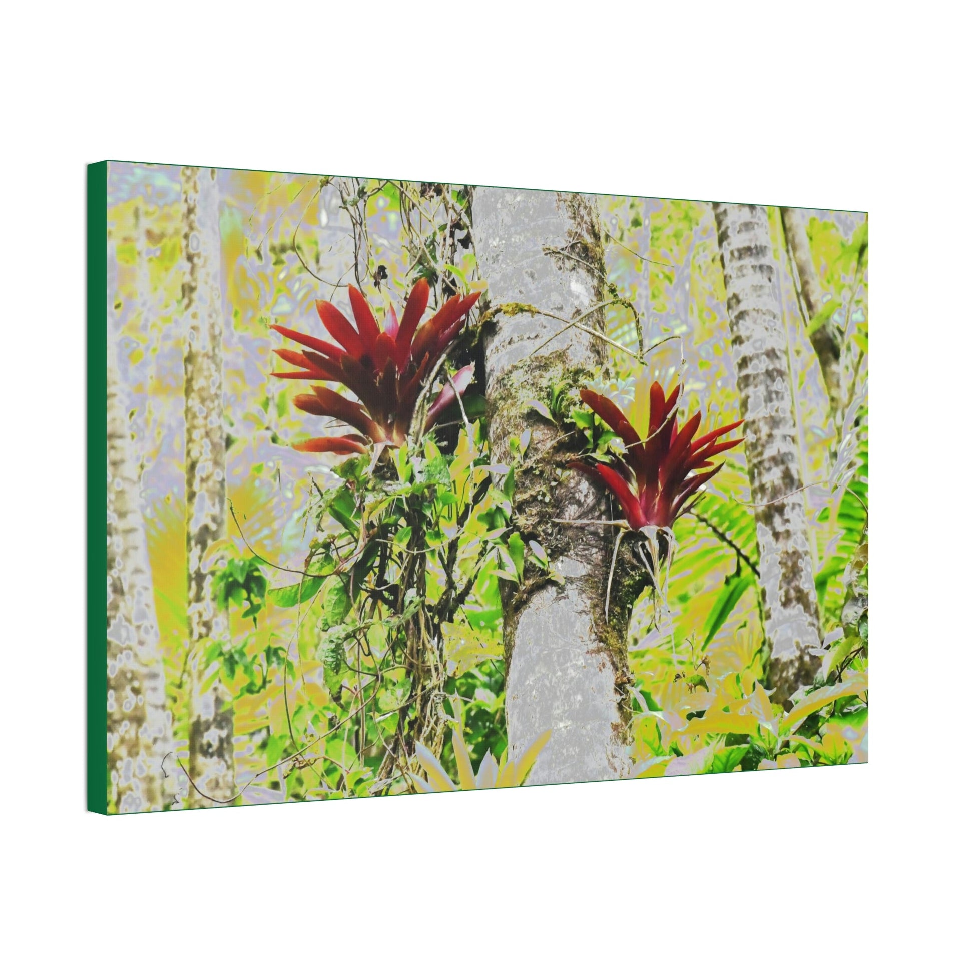 Canvas Stretched - Forest@Home - El Yunque - Recovering from Hurricane Maria - Color modified Red Bromeliads in a Sierra Palm forest - Green Forest Home