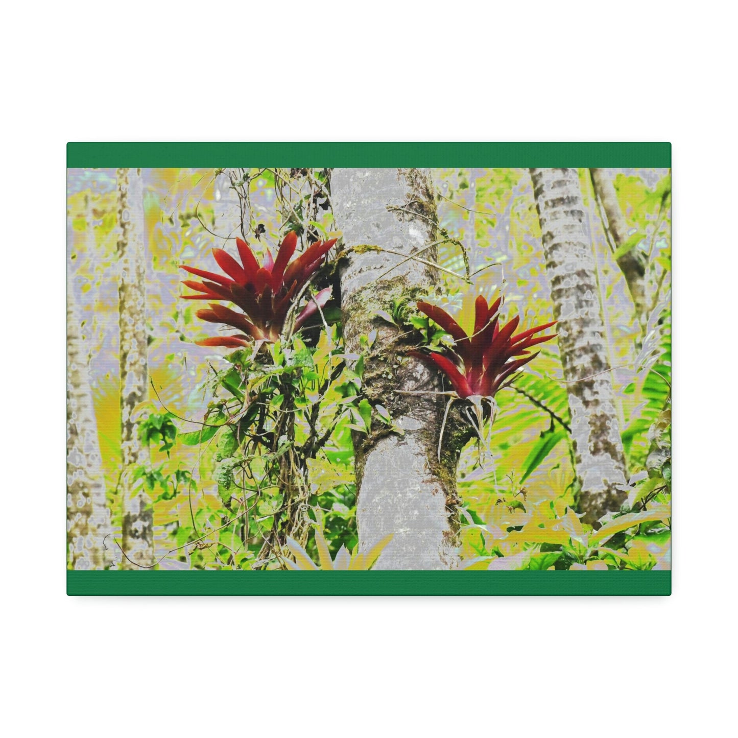 Canvas Stretched - Forest@Home - El Yunque - Recovering from Hurricane Maria - Color modified Red Bromeliads in a Sierra Palm forest - Green Forest Home