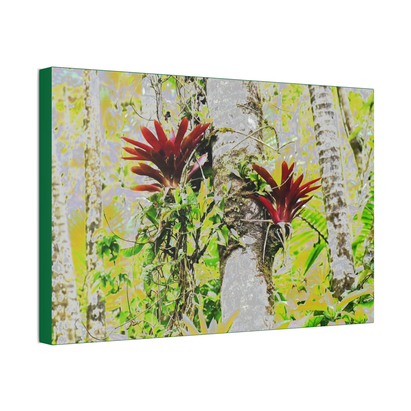 Canvas Stretched - Forest@Home - El Yunque - Recovering from Hurricane Maria - Color modified Red Bromeliads in a Sierra Palm forest - Green Forest Home