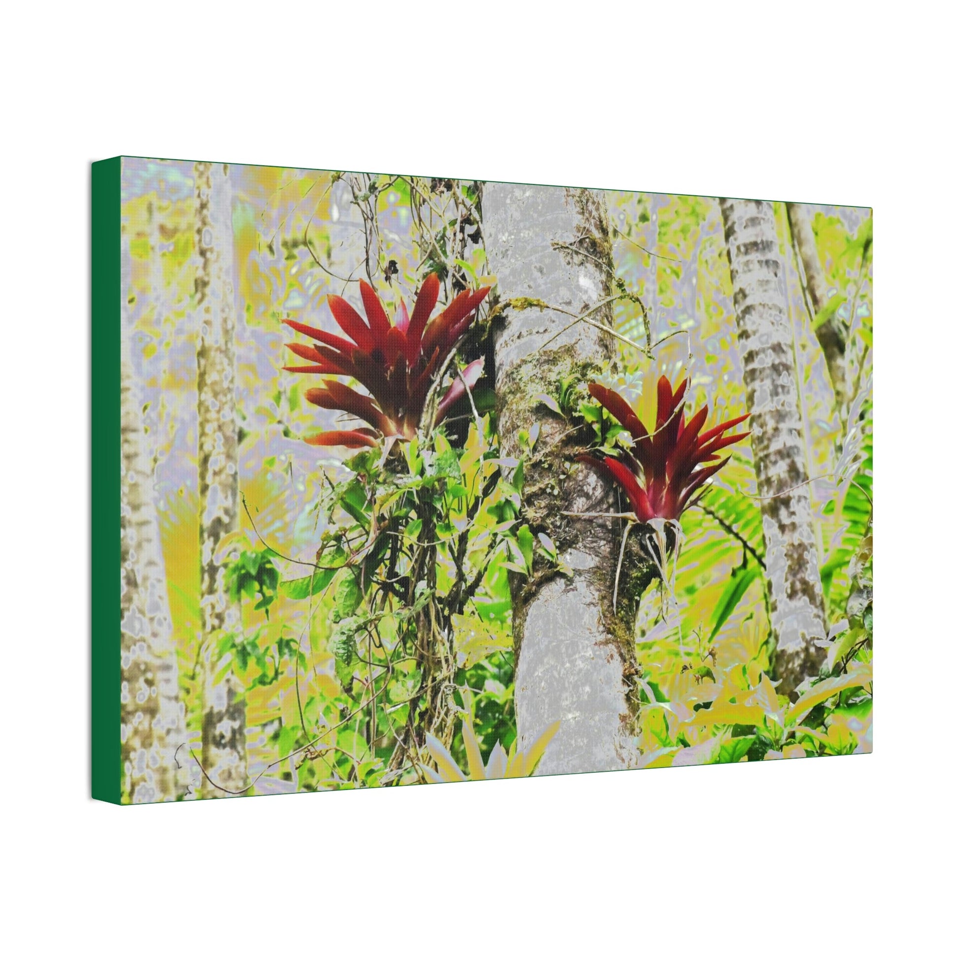 Canvas Stretched - Forest@Home - El Yunque - Recovering from Hurricane Maria - Color modified Red Bromeliads in a Sierra Palm forest - Green Forest Home