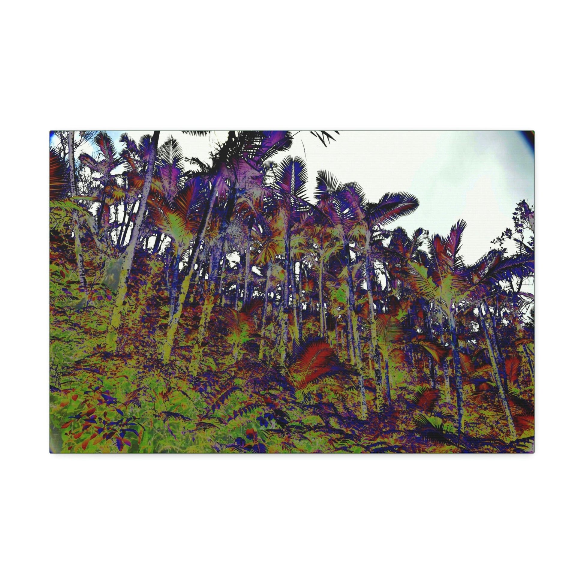Canvas Stretched - Forest@Home - El Yunque - Recovering from Hurricane Maria - Color modified view of the Sierra Palm forest - Green Forest Home