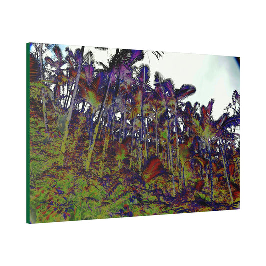 Canvas Stretched - Forest@Home - El Yunque - Recovering from Hurricane Maria - Color modified view of the Sierra Palm forest - Green Forest Home
