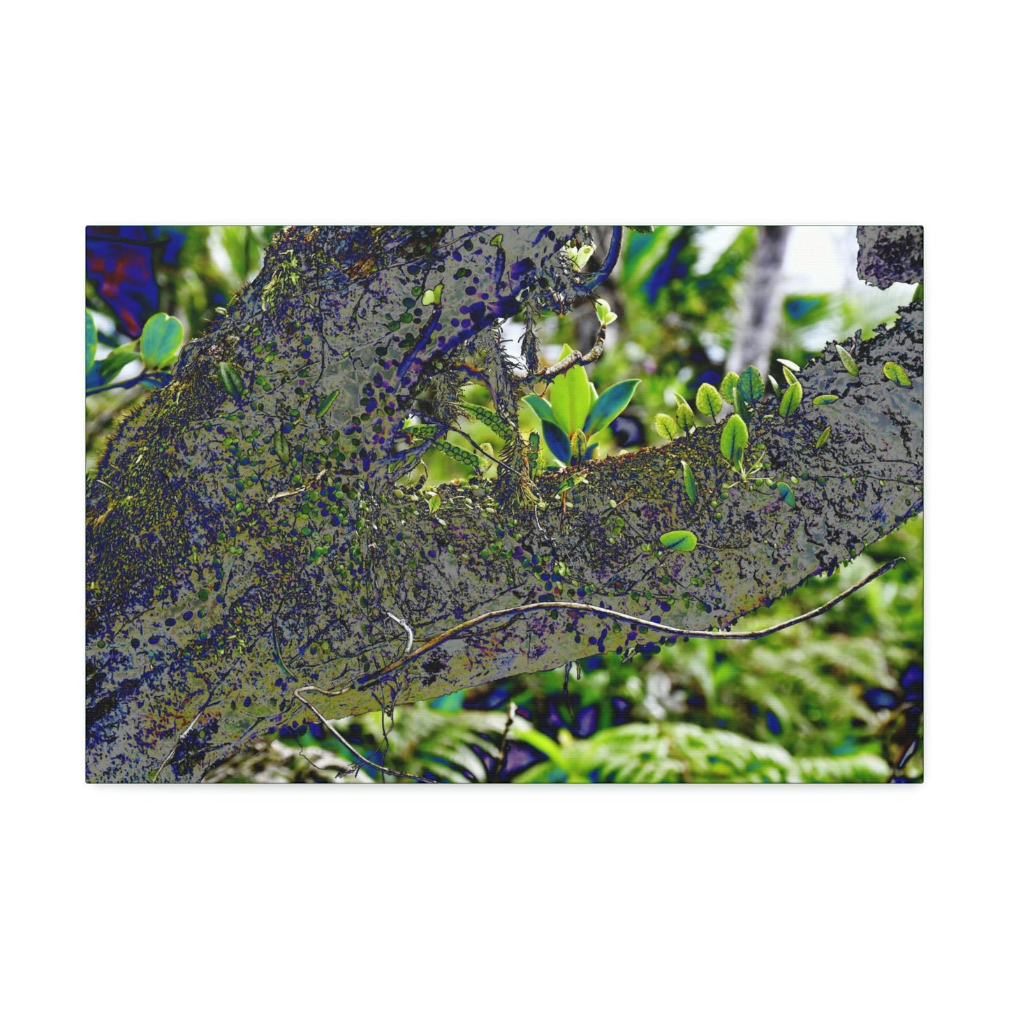 Canvas Stretched - Forest@Home - El Yunque - Recovering from Hurricane Maria - Color modified view of trunk reveals hidden details - Green Forest Home