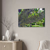 Canvas Stretched - Forest@Home - El Yunque - Recovering from Hurricane Maria - Color modified view of trunk reveals hidden details - Green Forest Home