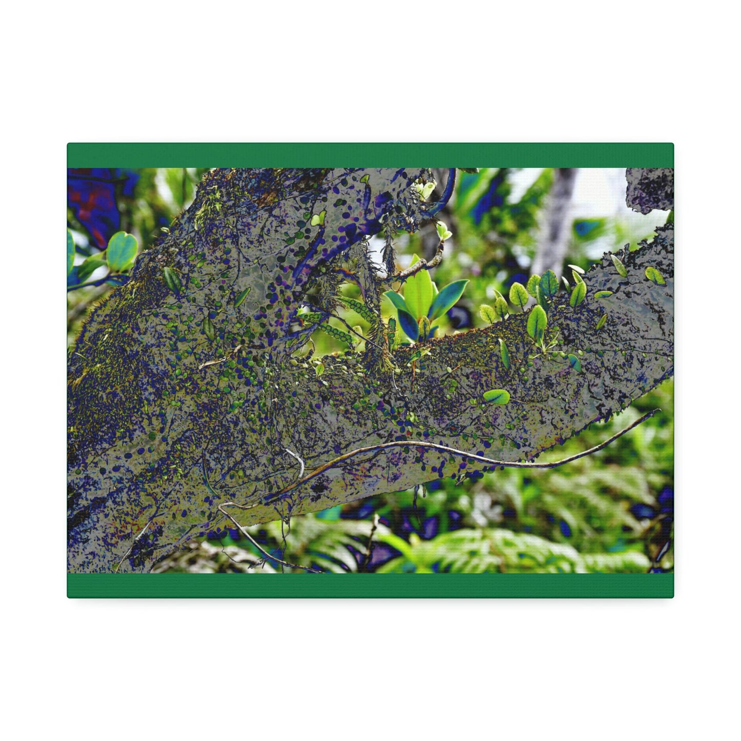 Canvas Stretched - Forest@Home - El Yunque - Recovering from Hurricane Maria - Color modified view of trunk reveals hidden details - Green Forest Home