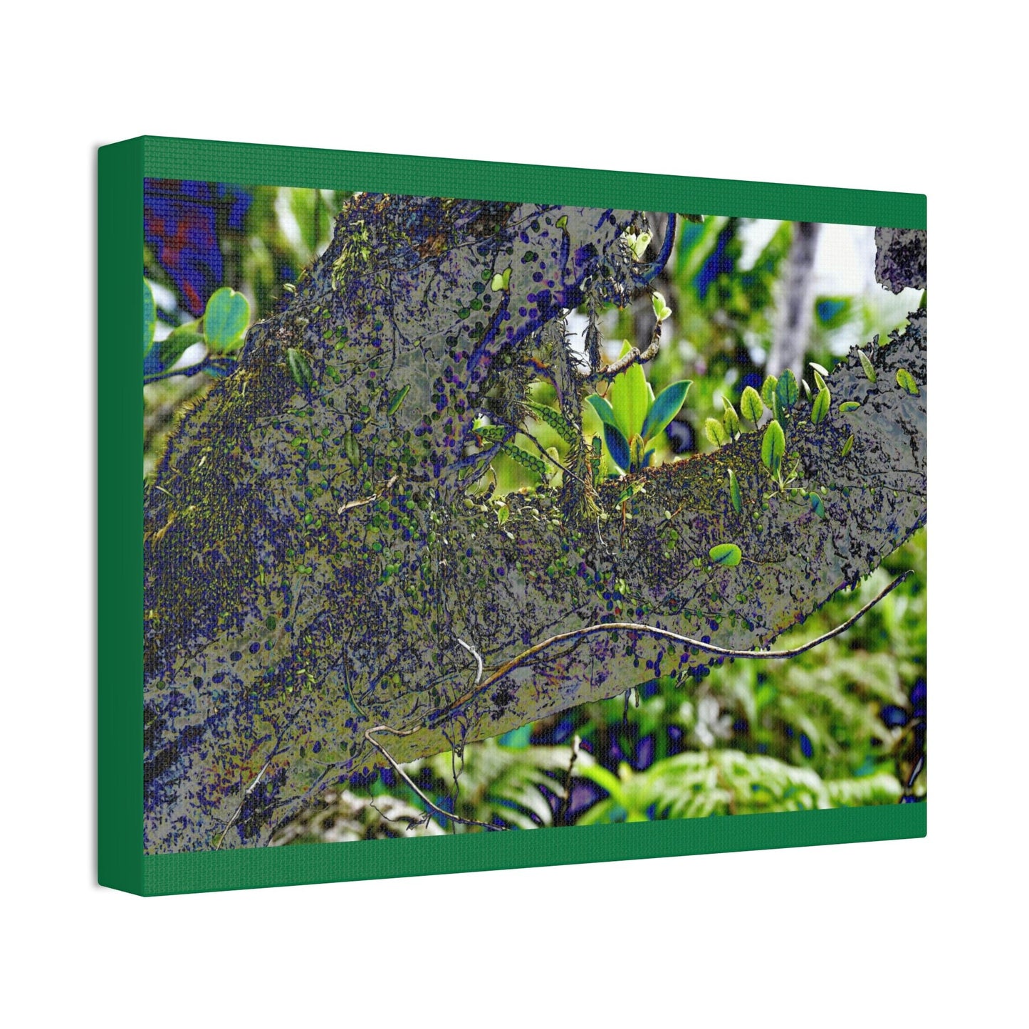 Canvas Stretched - Forest@Home - El Yunque - Recovering from Hurricane Maria - Color modified view of trunk reveals hidden details - Green Forest Home
